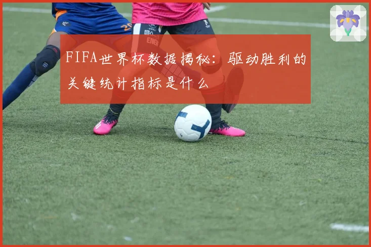 FIFA世界杯数据揭秘：驱动胜利的关键统计指标是什么