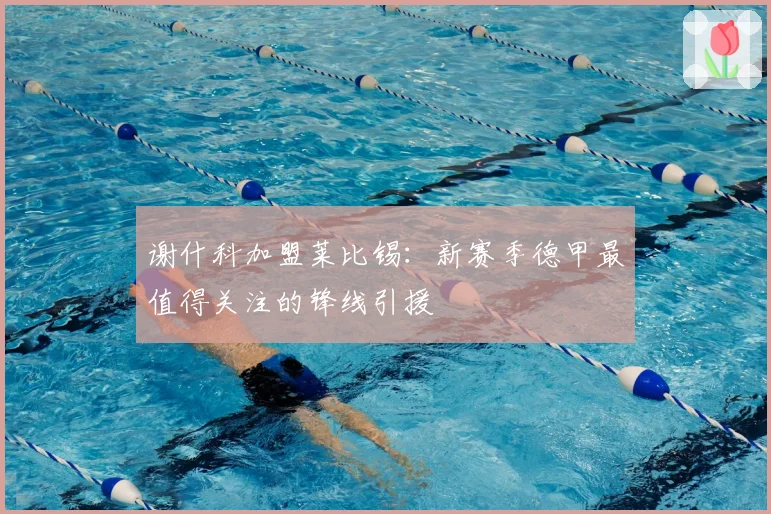 谢什科加盟莱比锡：新赛季德甲最值得关注的锋线引援