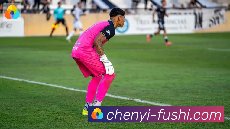 九游j9官网首页登录服务体系